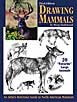 Drawing Mammals 3rd edition